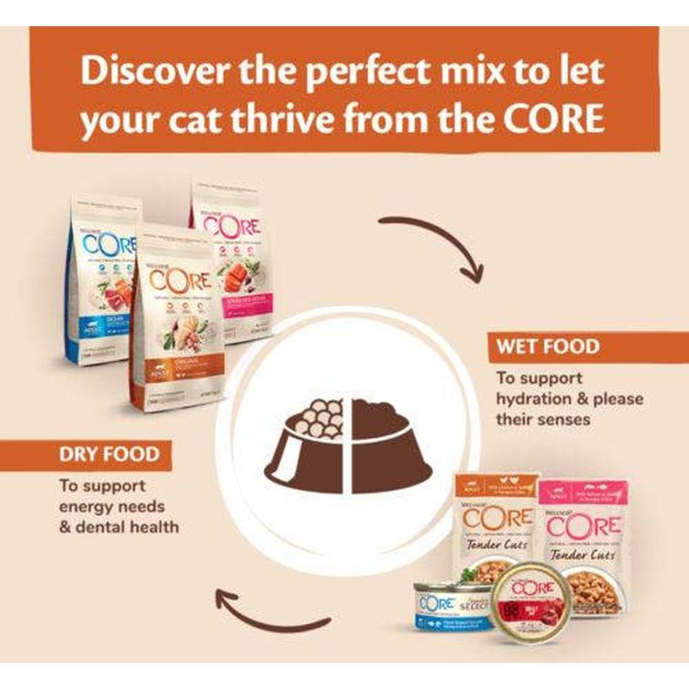 WELLNESS CORE Chat Tender Cuts Nourriture humide Poulet Saumon 85g