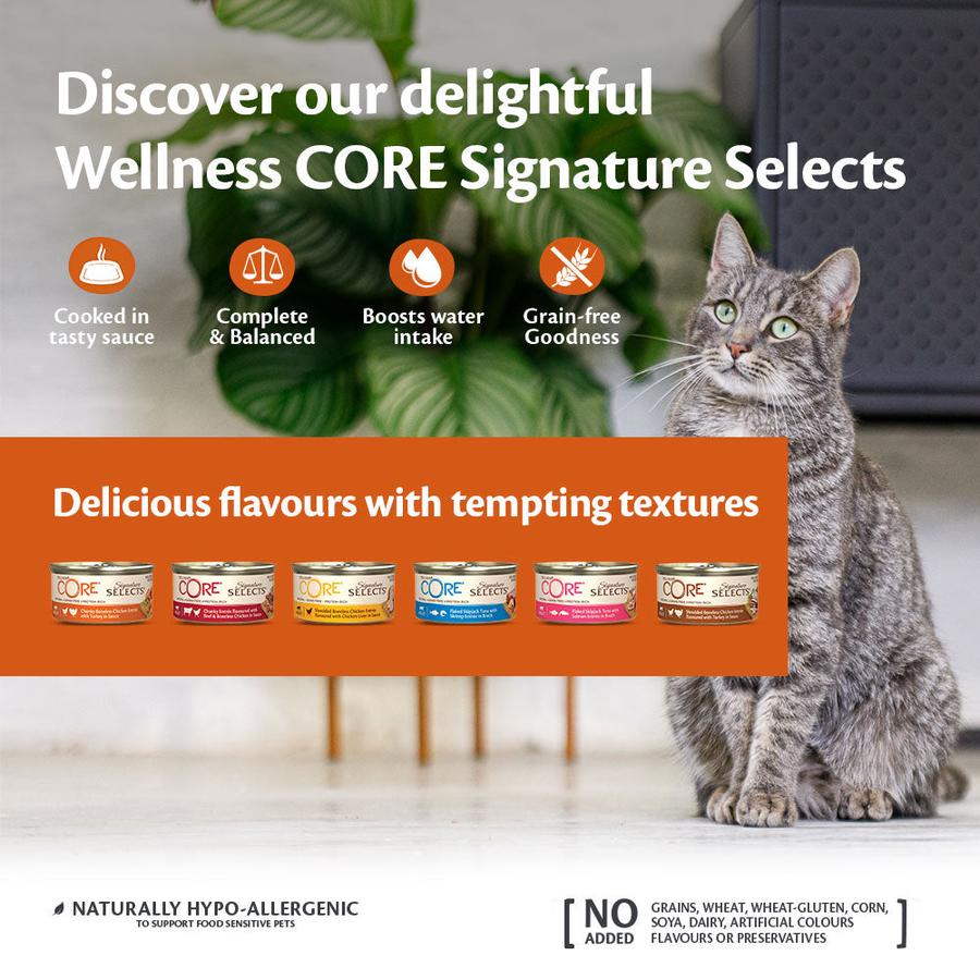 WELLNESS CORE Signature Selects Nourriture humide pour chat Thon Maquereau Crevettes 79g