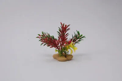 PLANT H:10cm SCALARE---