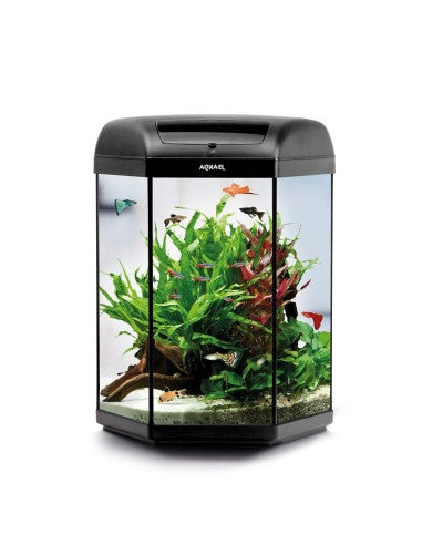 AQUAEL Aquarium HEXA SET D&N 60L LED Filtre Chauffe-eau Intégré