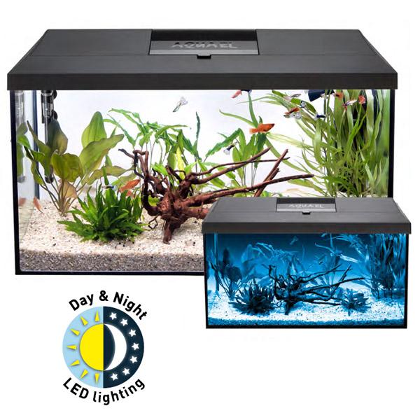 AQUAEL Aquaterrarium 60 Terrarium aquatique pour reptiles et amphibiens 60x30x20.5 cm
