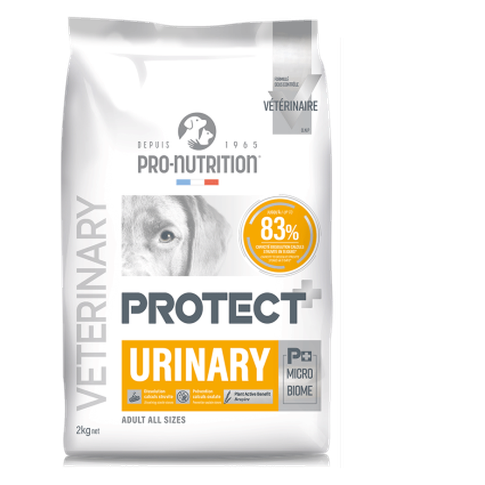 PROTECT Chien Urinary 12kg