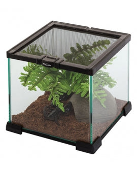 ZOOMED ReptiSun 5% UVB T5 HO 25W 76cm Lampe Fluorescente pour Reptiles Tropicaux