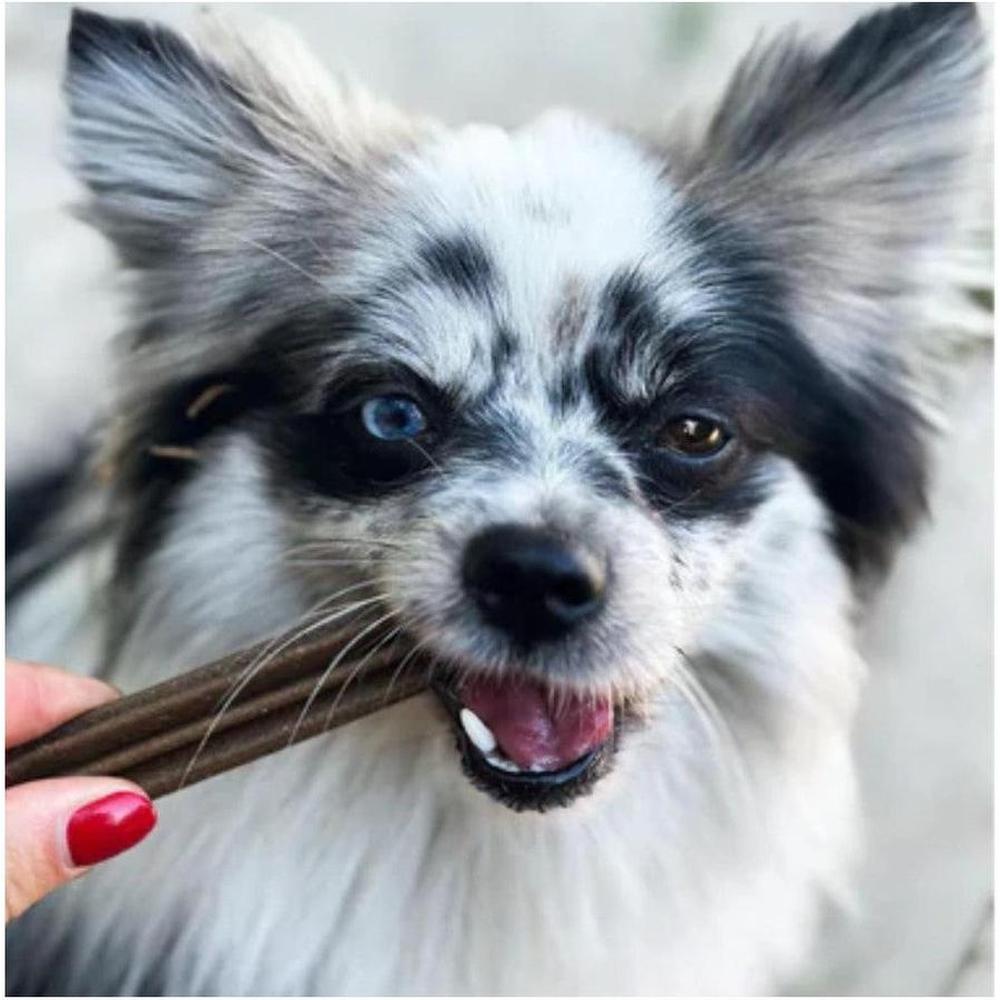 MARLY ET DAN Dental Care Petits Chiens 7 sticks Saumon 7 sticks
