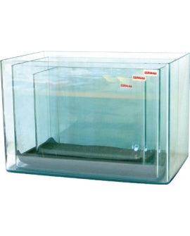EHEIM Proxima Scape 175 Aquarium 175L 71x51x125cm 8mm Blanc Brillant avec Meuble