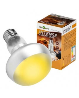 ZOOMED ReptiSun 5% UVB T5 HO 25W 76cm Lampe Fluorescente pour Reptiles Tropicaux