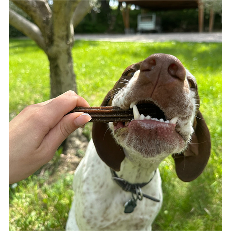 MARLY ET DAN Dental seau 28 sticks Chien S 400g