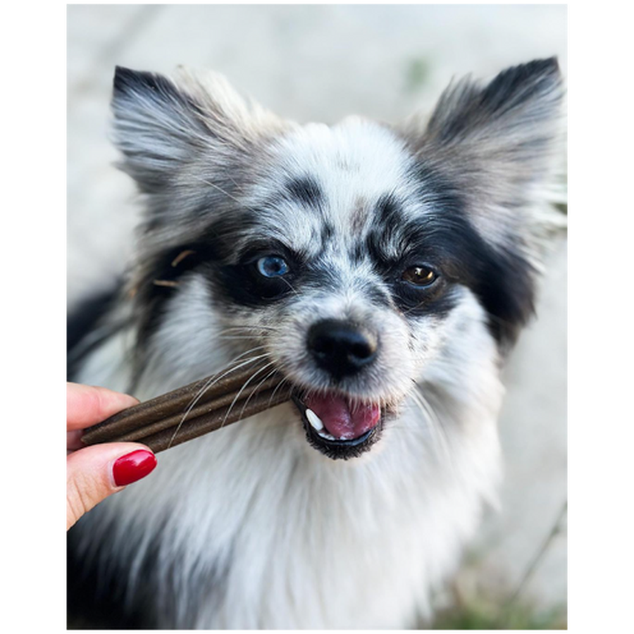 MARLY ET DAN Dental seau 28 sticks Chien S 400g