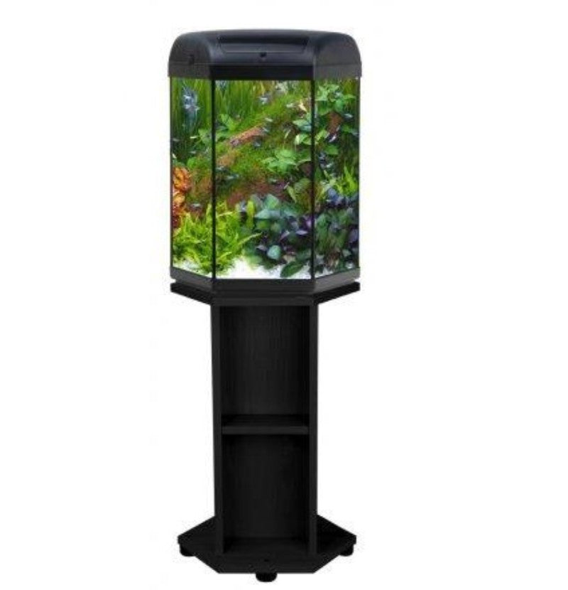 AQUAEL Aquaterrarium 60 Terrarium aquatique pour reptiles et amphibiens 60x30x20.5 cm