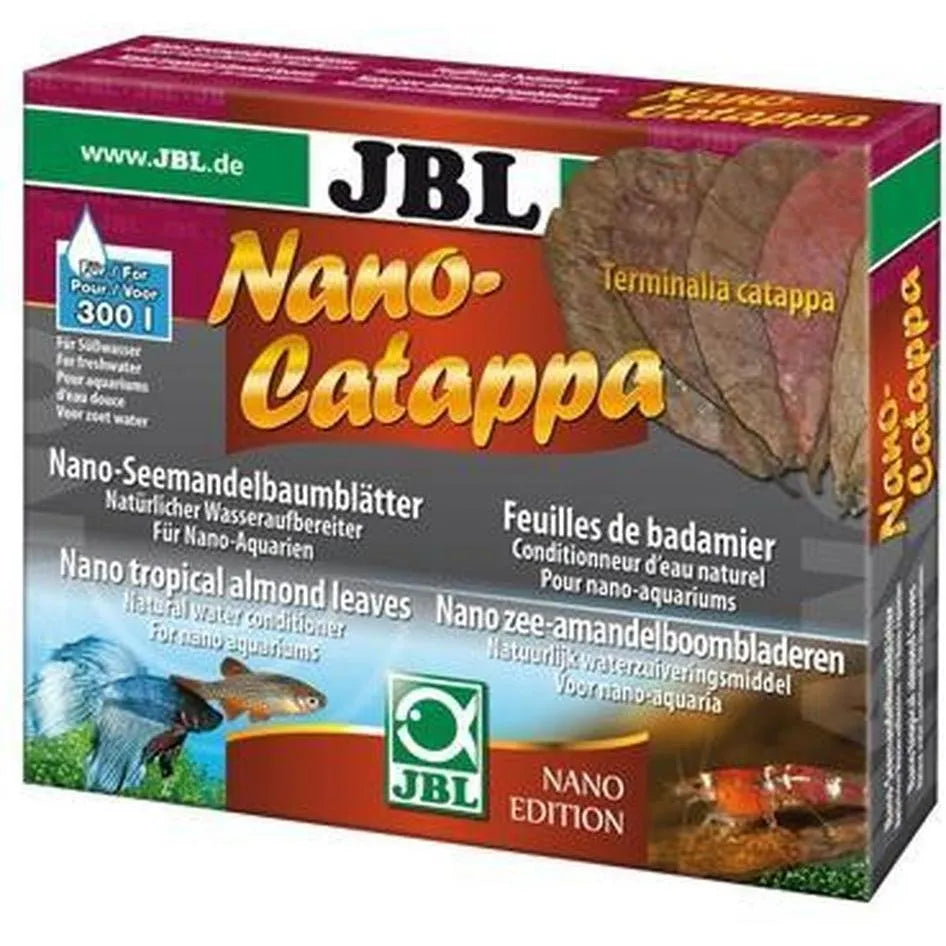 Nano Catappa feuille de badamier