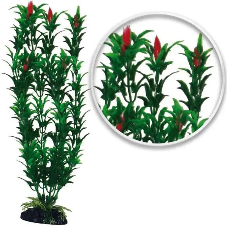 PLANTE EGERIA FLOWERS BICOLOUR 18cm