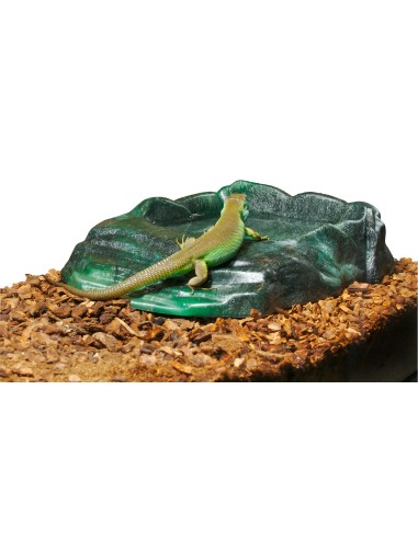ZOOMED Cuve Low Boy 91x46x25 cm Aquarium/Terrarium Verre Ultra-Large