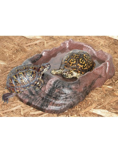ZOOMED Cuve Low Boy 91x46x25 cm Terrarium pour Reptiles et Amphibiens