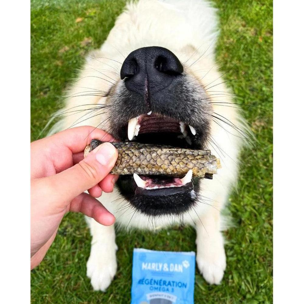 MARLY ET DAN Rouleaux Régénération 100% Peau de Saumon Chien 80g