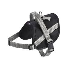 Harnais Easy Safe pour Chien