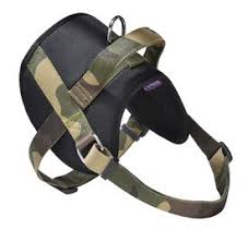 Harnais Easy Safe pour Chien