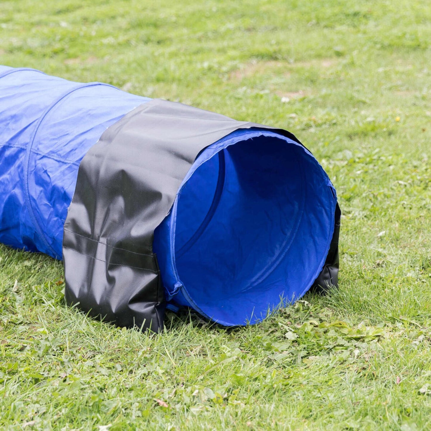TRIXIE Mini Tunnel Fun Agility Ø 40 cm x 2 m Bleu