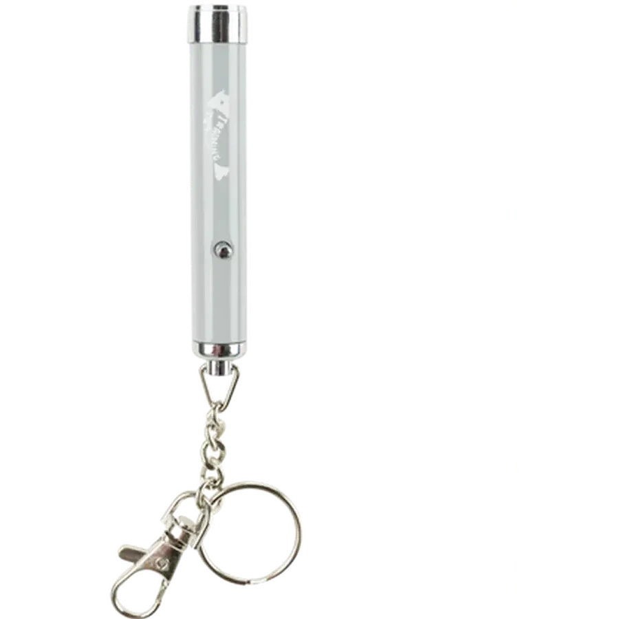 TRIXIE Pointeur LED Catch the Light Poisson 8 cm Gris
