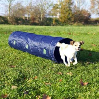 TRIXIE Mini Tunnel Fun Agility Ø 40 cm x 2 m Bleu