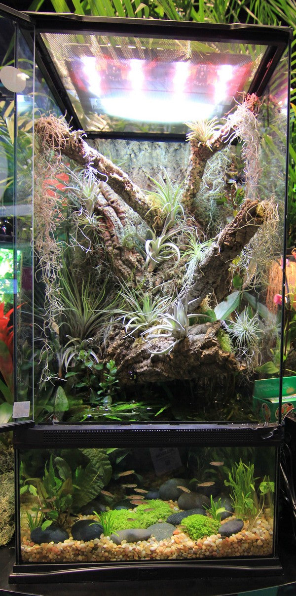 ZOOMED Paludarium 91x46x91 cm 80L