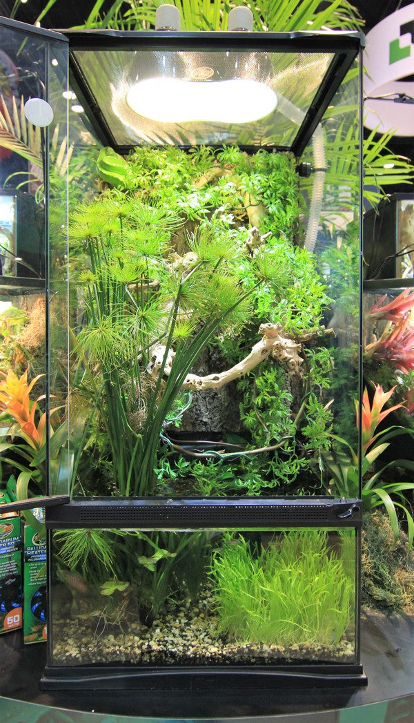 ZOOMED Paludarium 91x46x91 cm 80L