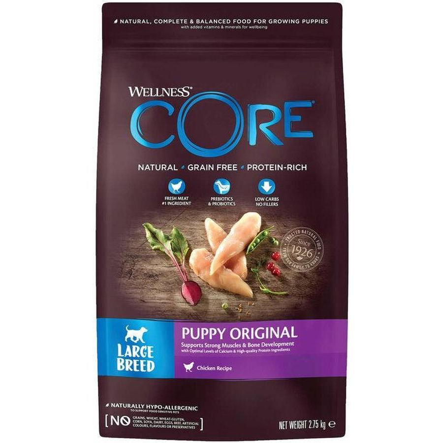 WELLNESS CORE Chien Croquettes Dinde Poulet 10,8kg