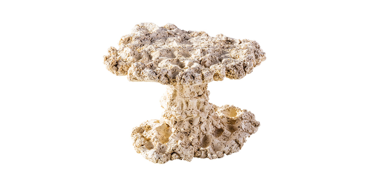 ARKA BIOTECHNOLOGIE Roche céramique Mushroom 20cm pour aquarium marin