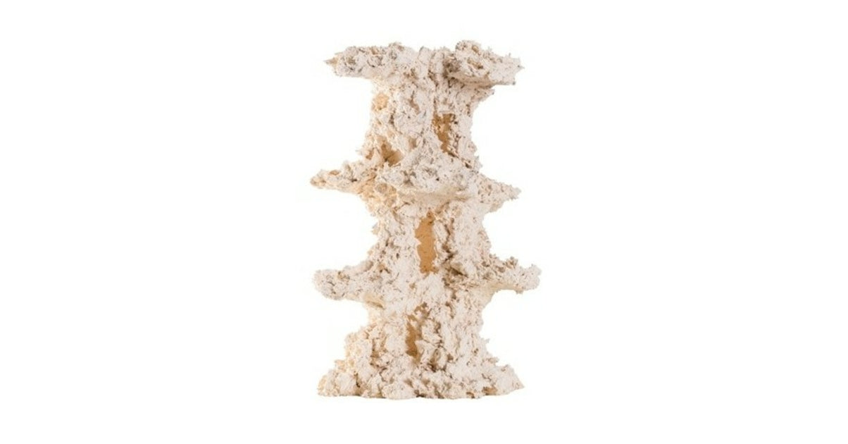 ARKA BIOTECHNOLOGIE Roche céramique Column Natur 20cm pour aquarium récifal