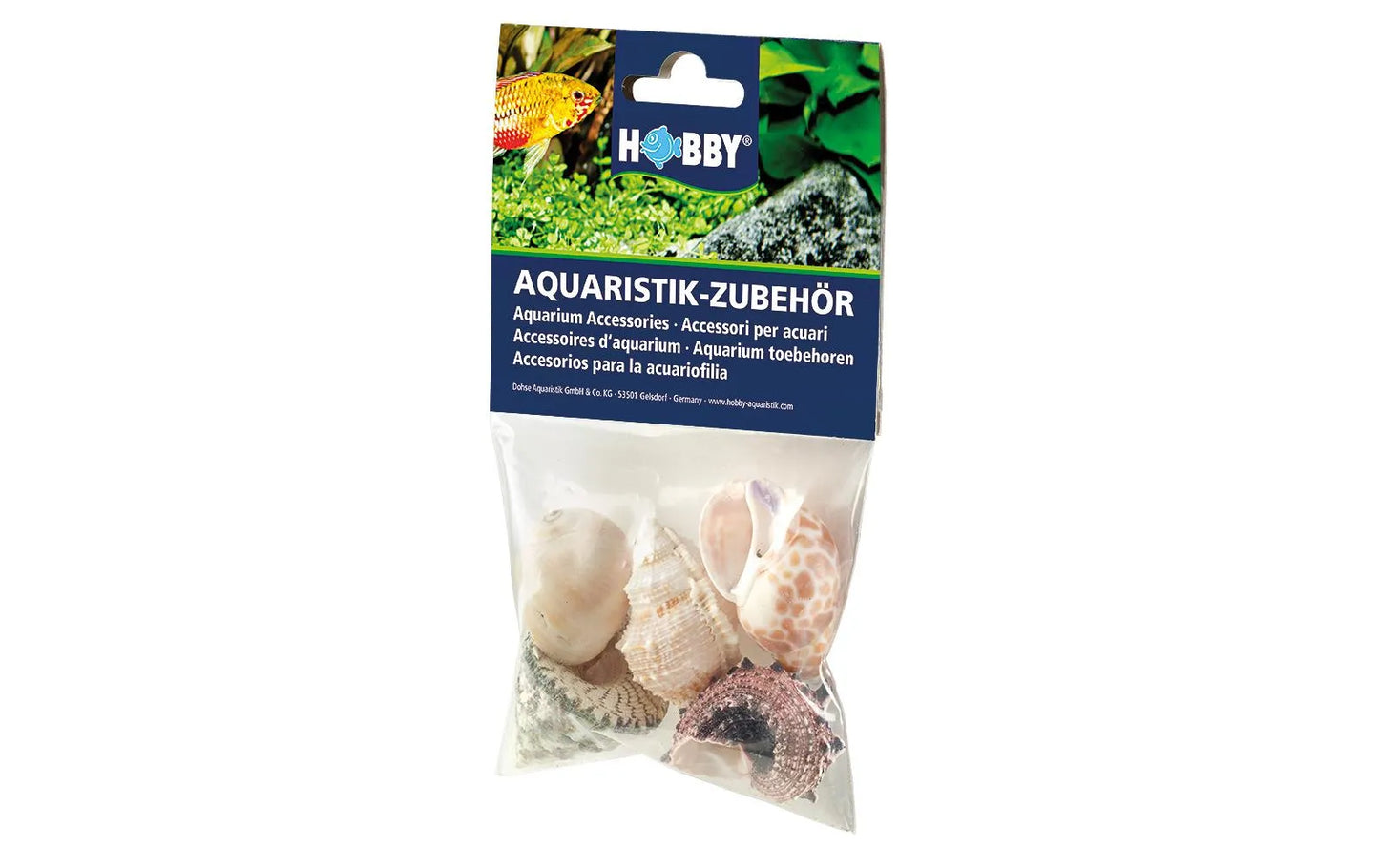 HOBBY-DOSHE AQUARISTIK Coquilles Sea Shells Set L 5 pièces