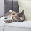 TRIXIE Canne à pêche avec balles CityStyle Jouet interactif pour chat 40cm Bois et Feutre