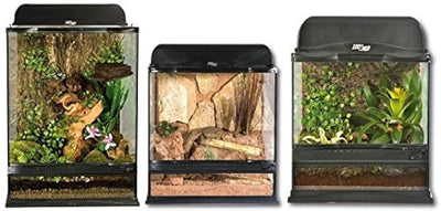 ZOOMED Terrarium Naturalistic 30x30x45 cm