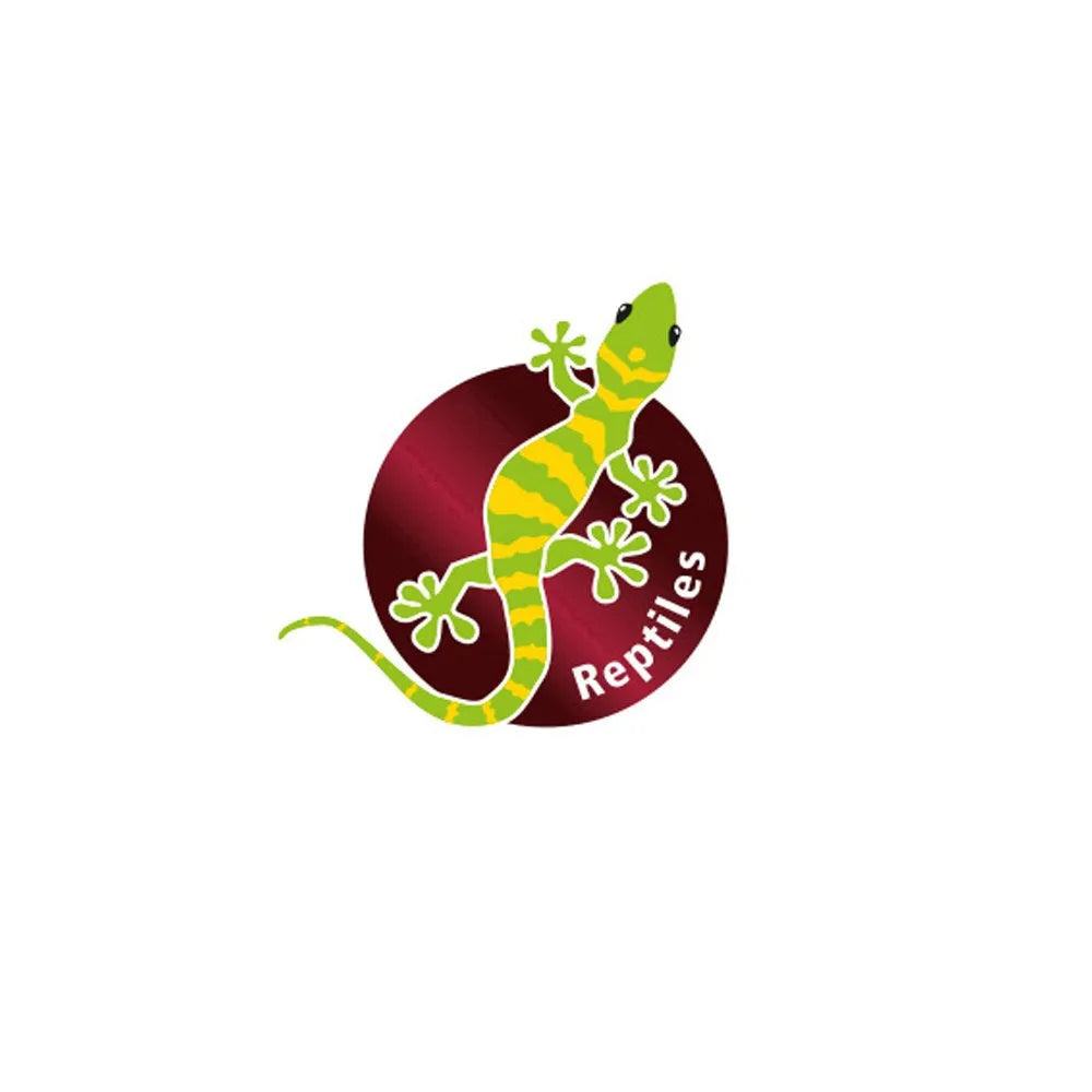 HOBBY-DOSHE AQUARISTIK Cactus Victoria 22 cm Décoration artificielle pour terrarium