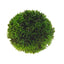 HOBBY-DOSHE AQUARISTIK Plant Ball 9 cm Décoration Aquarium Plastique Vert