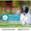 WELLNESS CORE Small Breed Adult Ocean Saumon et Thon 5kg