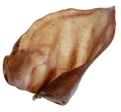 ZOLUX Oreille de Porc Séchée x2