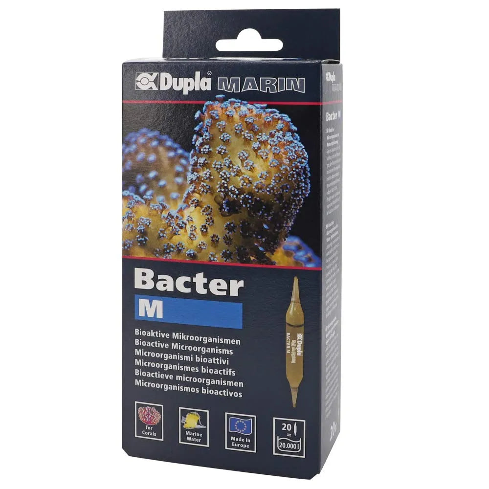 HOBBY-DOSHE AQUARISTIK BACTER 250ml complément bactérien pour aquarium flacon 250ml
