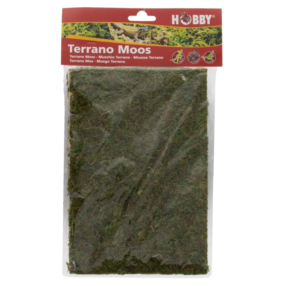 HOBBY-DOSHE AQUARISTIK Terrano Mousse Naturelle 100% Naturelle pour Terrarium 100g
