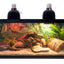 ZOOMED ReptiHabitat Terrarium Double Porte 91x46x46 cm