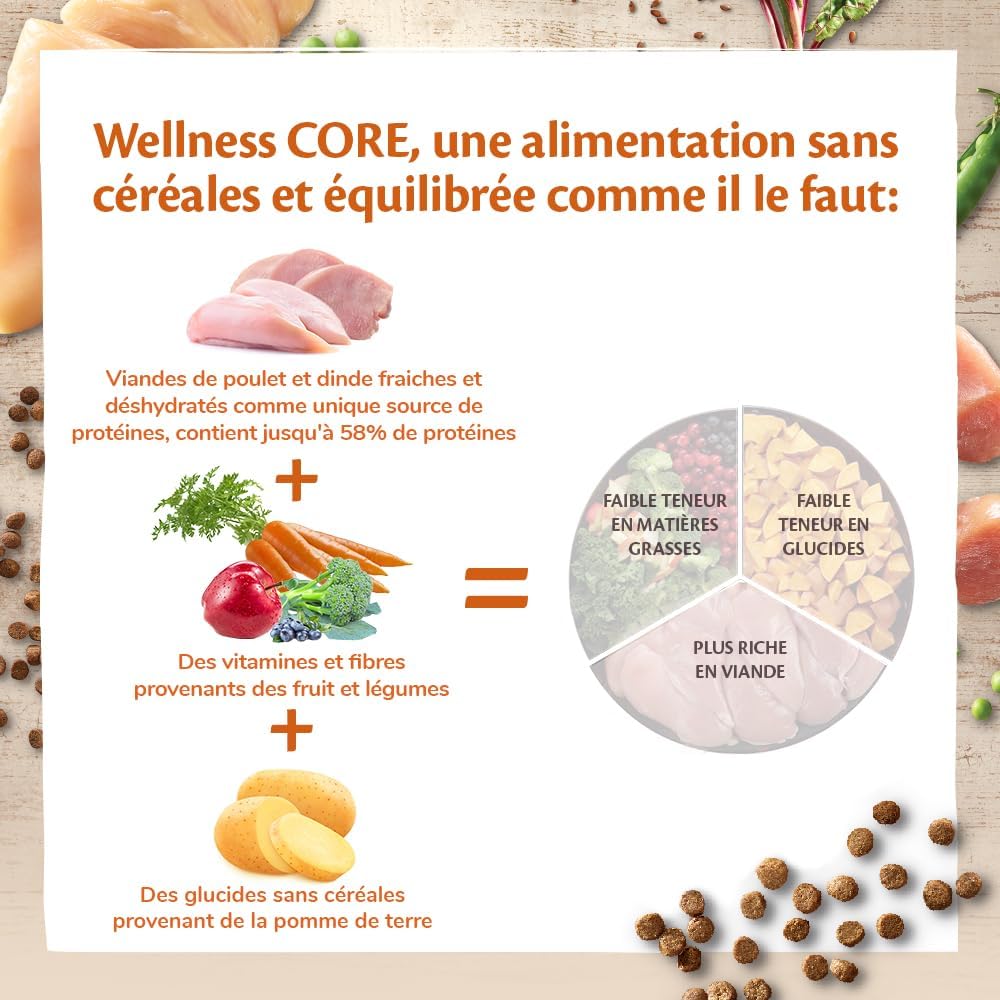 WELLNESS CORE Original Croquettes Chat Dinde Poulet 300g