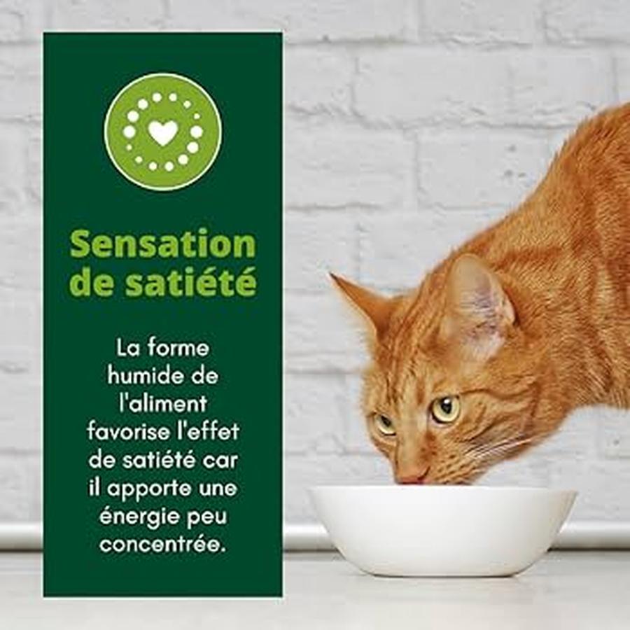 EQUILIBRE & INSTINCT Terrine pour chat stérilisé riche en boeuf & aux courgettes 12x100g