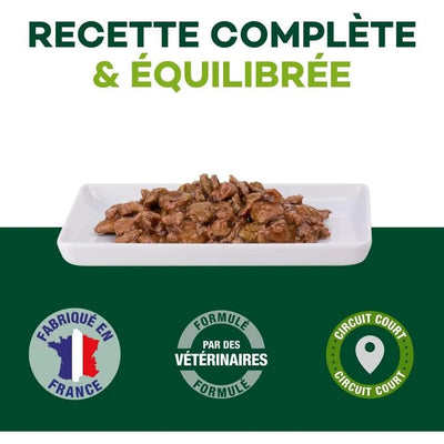 EQUILIBRE & INSTINCT Effilés Sensation Chat Stérilisé Saumon Ananas Cranberries 12x85g