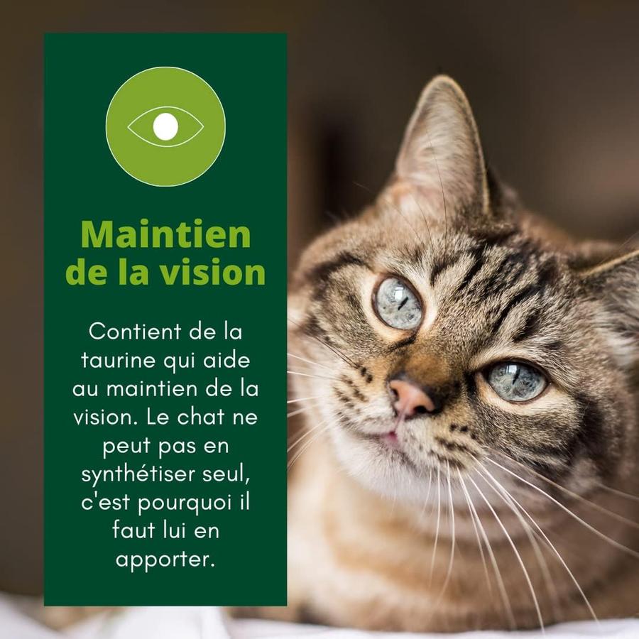 EQUILIBRE & INSTINCT Terrine pour chat âgé riche en saumon & courgettes 14x85g