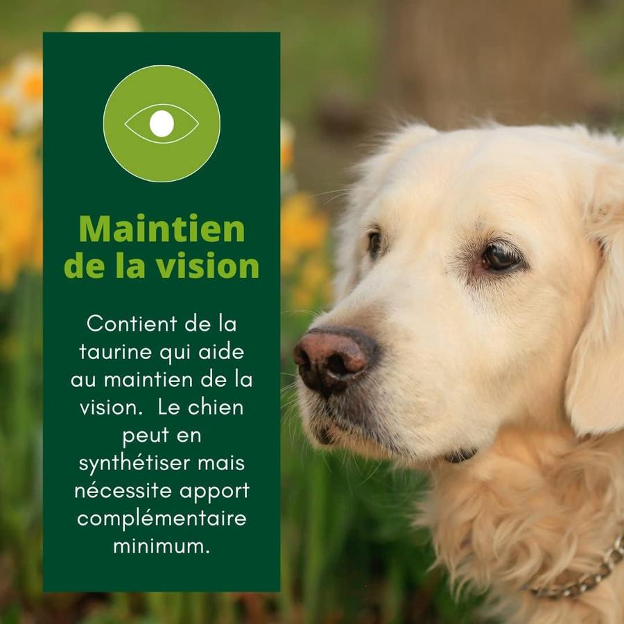EQUILIBRE & INSTINCT Terrine pour chien âgé riche en volaille et petits pois 9x300g