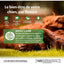 WELLNESS CORE Adult Lamb Agneau 1.8kg