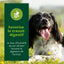 EQUILIBRE & INSTINCT Terrine pour chien adulte riche en bœuf & petit pois 9x300g