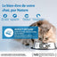 WELLNESS CORE Chat Croquettes Ocean Saumon & Thon 300g