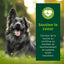 EQUILIBRE & INSTINCT Terrine pour chien adulte riche en bœuf & petit pois 9x300g