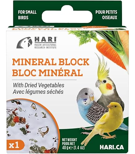 ZOOMED Bird Banquet Mineral Block with Fruit Small 1.25oz