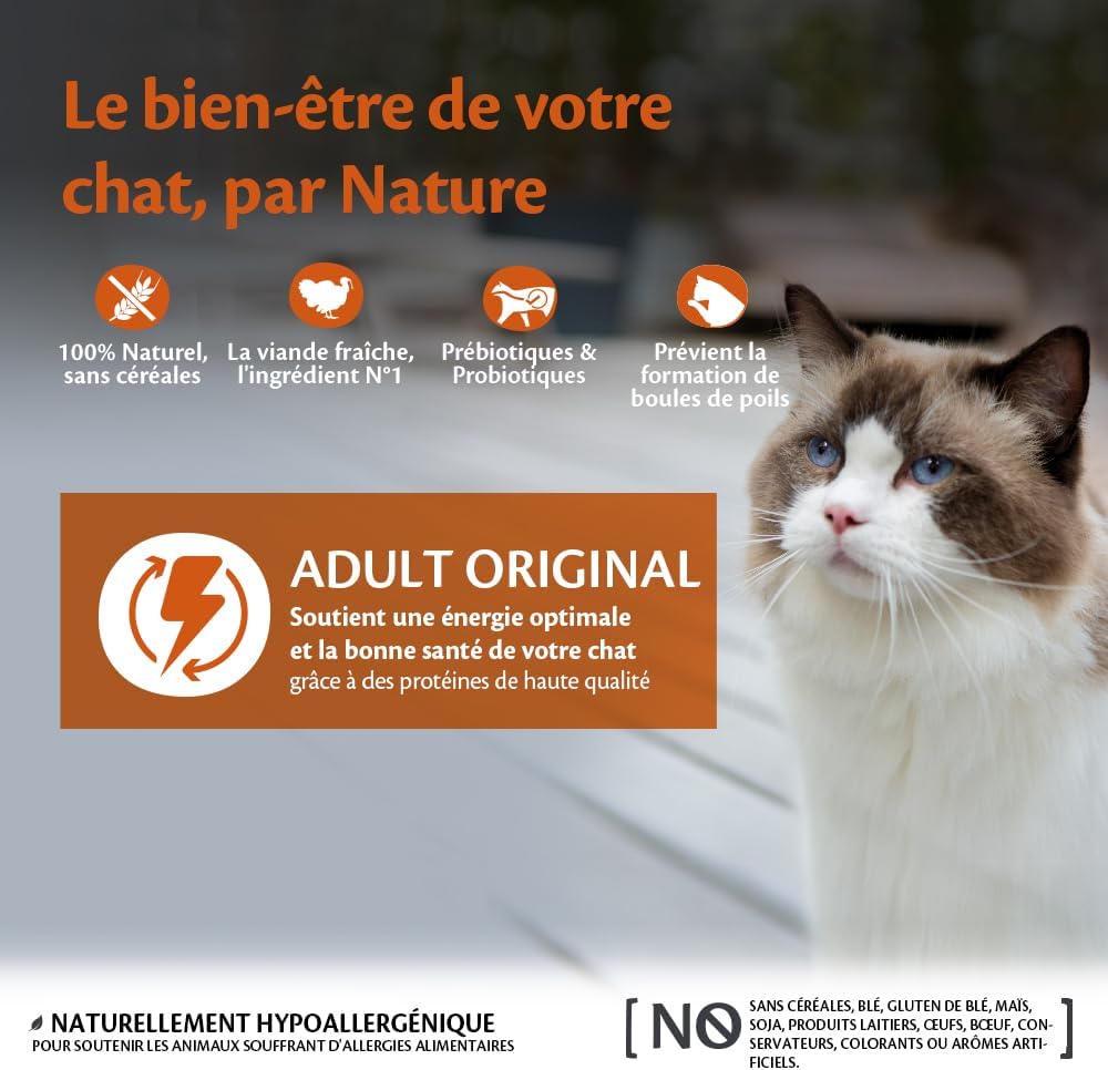 WELLNESS CORE Original Croquettes Chat Dinde Poulet 300g
