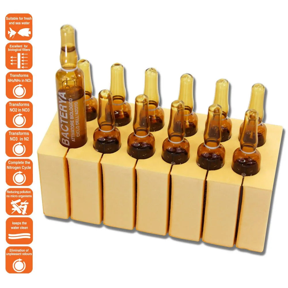 EQUO BACTERYA Activateur Biologique Aquarium 5ml 12 ampoules